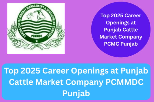 Top 2025 Career Openings at Punjab Cattle Market Company PCMMDC Punjab