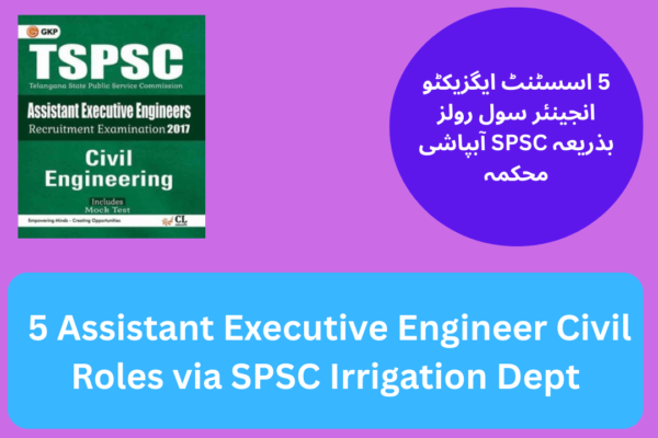 5 Assistant Executive Engineer Civil Roles via SPSC Irrigation Dept