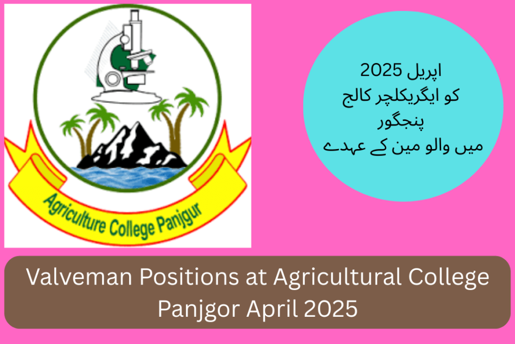 Valveman Positions at Agricultural College Panjgor April 2025