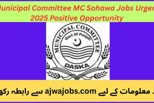Municipal Committee MC Sohawa Jobs Urgent 2025 Positive Opportunity