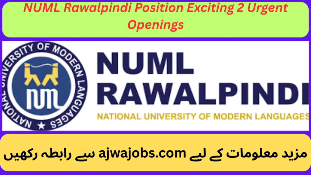 NUML Rawalpindi Position Exciting 2 Urgent Openings