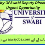 University Of Swabi Deputy Director Top 2 Urgent Opportunity